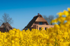 Reetdorf Geltinger Birk Atelierhaus Steilküste Nieby